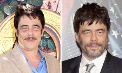 benicio del toro