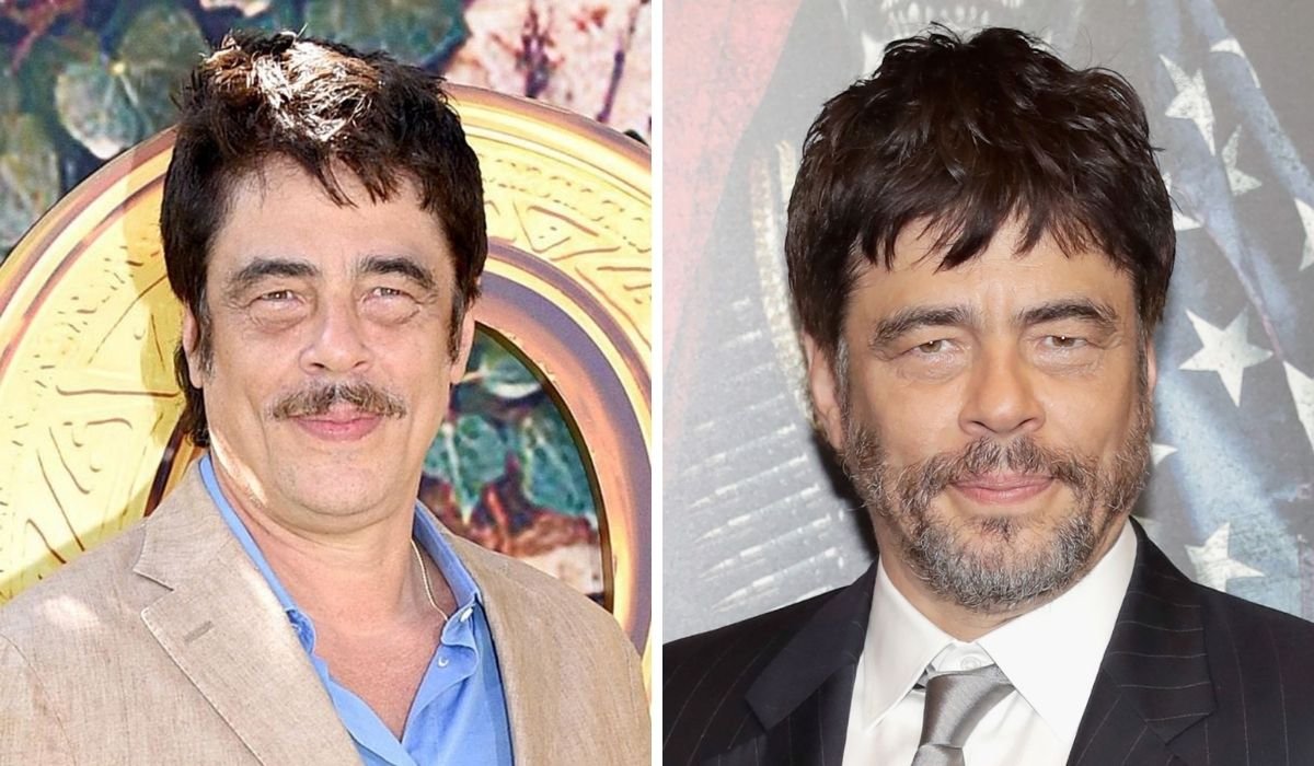 benicio del toro